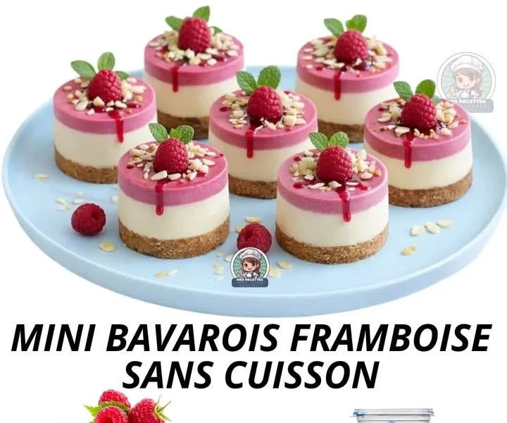 Mini bavarois à la framboise sans cuisson présenté sur une assiette.