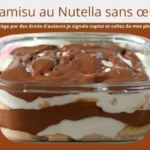Tiramisu au Nutella sans oeufs, dessert gourmand et savoureux