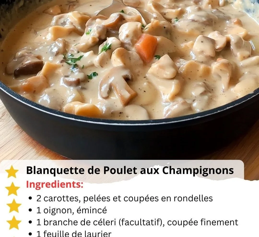 Plat de Blanquette de Poulet aux Champignons prêt à être dégusté